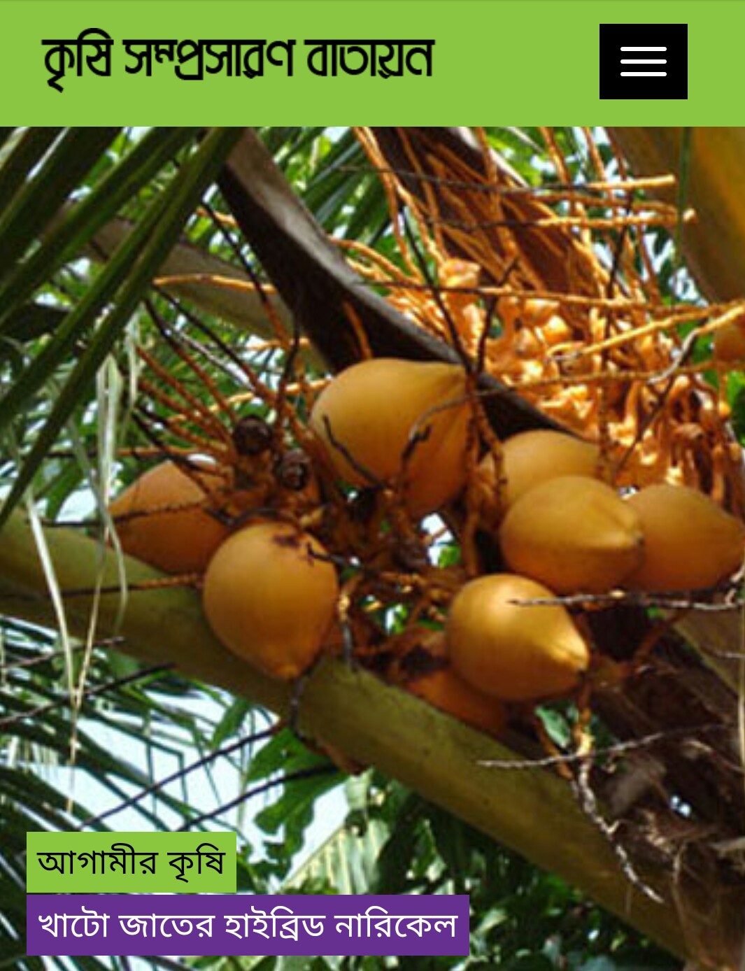 ভবিষ্যতের কৃষির অধুনিকায়নে কৃষি সম্প্রসারণ বাতায়নের ভূমিকা অনন্য