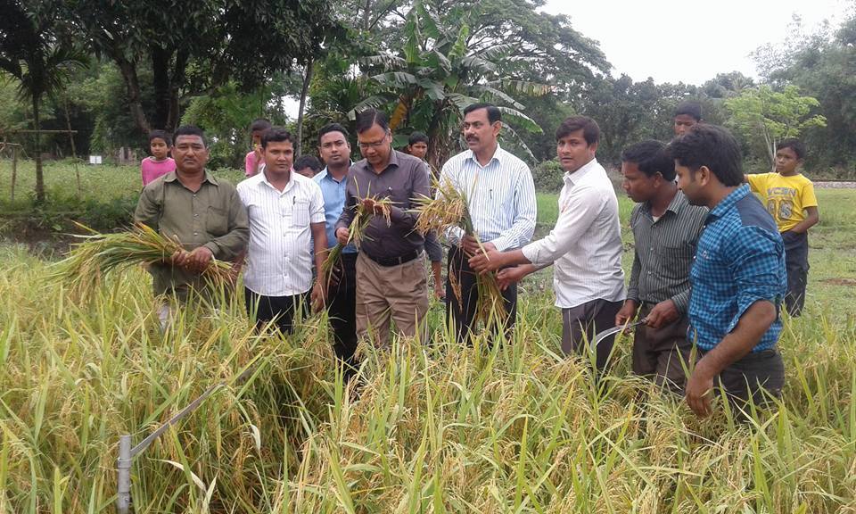 ক্রোপ কাটিং, পাটগ্রাম